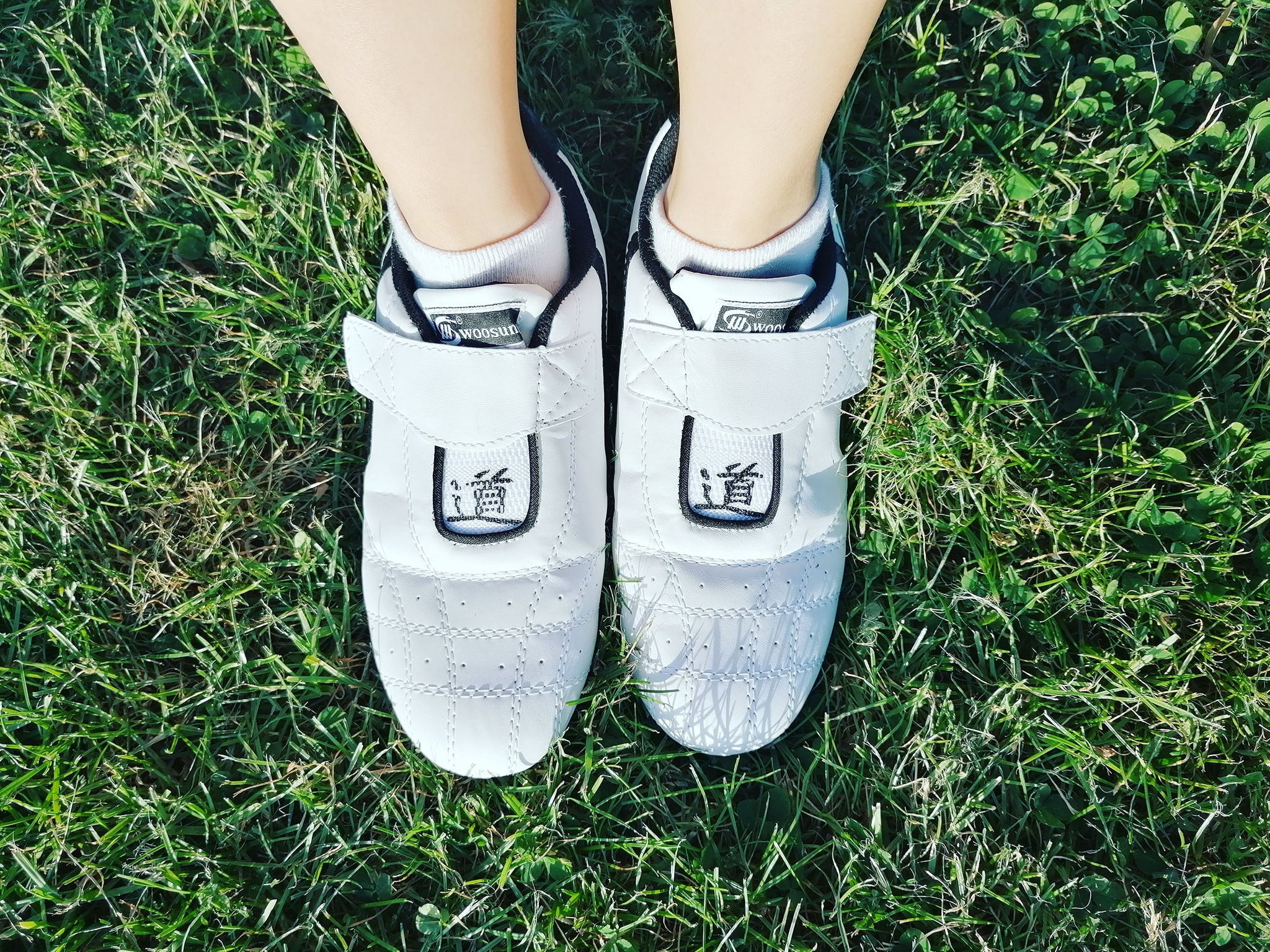 cute embroidered converse